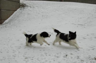 Feb9_05_084.JPG