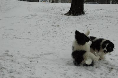 Feb9_05_086.JPG