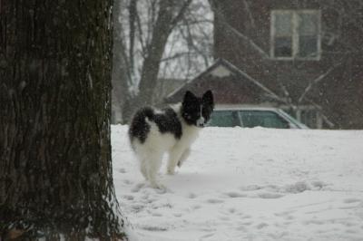 Feb9_05_087.JPG