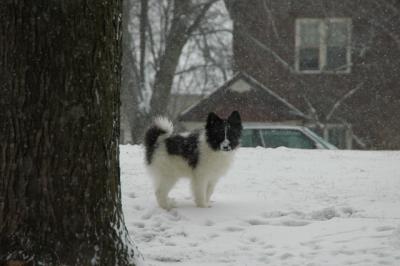 Feb9_05_088.JPG