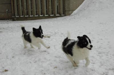 Feb9_05_089.JPG