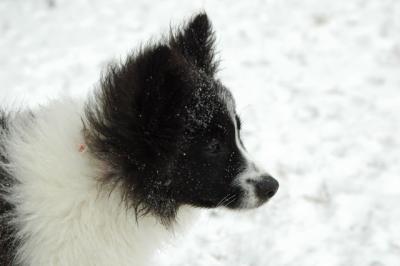Feb9_05_090.JPG
