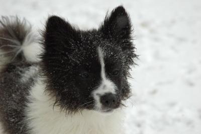 Feb9_05_091.JPG