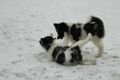 Feb9_05_099.JPG