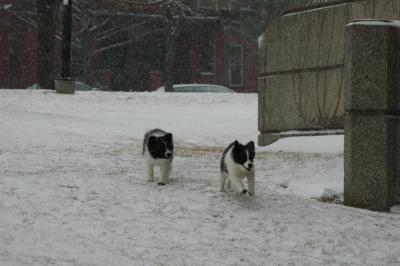 Feb9_05_105.JPG