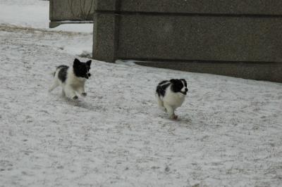 Feb9_05_106.JPG