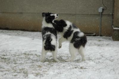 Feb9_05_108.JPG
