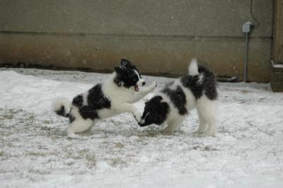 Feb9_05_110.JPG