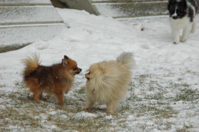 Feb9_05_114.JPG