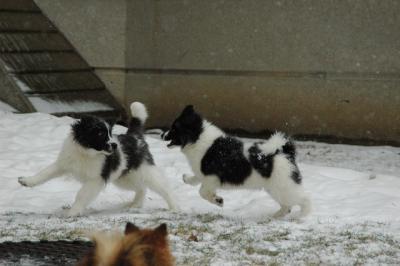 Feb9_05_116.JPG