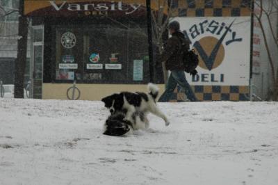 Feb9_05_117.JPG