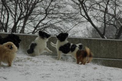 Feb9_05_120.JPG