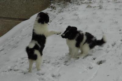 Feb9_05_128.JPG