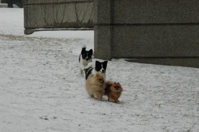 Feb9_05_132.JPG