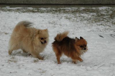 Feb9_05_137.JPG