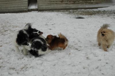 Feb9_05_139.JPG