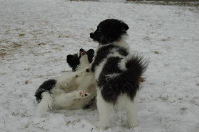 Feb9_05_140.JPG