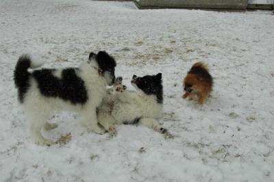 Feb9_05_141.JPG
