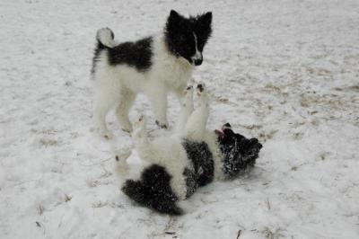 Feb9_05_144.JPG
