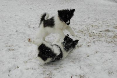 Feb9_05_145.JPG