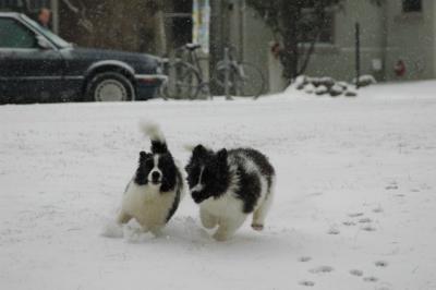Feb9_05_146.JPG