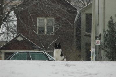 Feb9_05_149.jpg