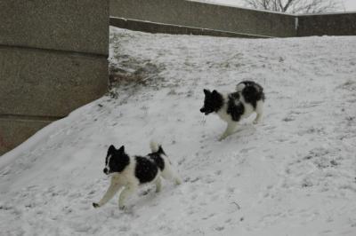 Feb9_05_150.JPG
