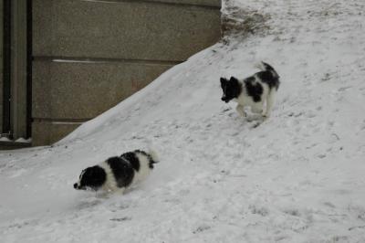 Feb9_05_151.JPG