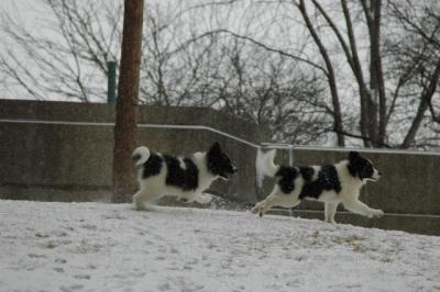 Feb9_05_153.JPG