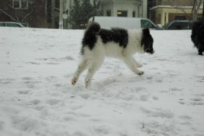 Feb9_05_178.JPG
