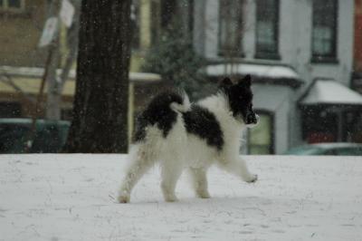 Feb9_05_183.JPG