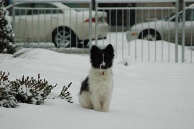 Feb9_05_198.JPG