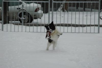 Feb9_05_203.JPG