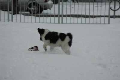 Feb9_05_206.JPG