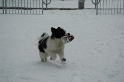 Feb9_05_207.JPG