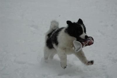 Feb9_05_208.JPG
