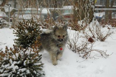 Feb9_05_212.JPG