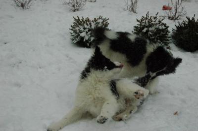 Feb9_05_226.JPG