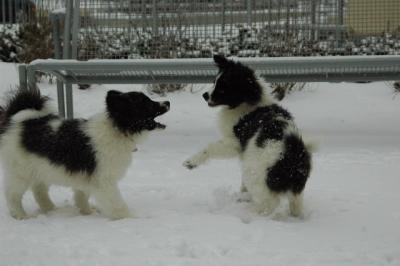 Feb9_05_229.JPG