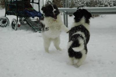 Feb9_05_230.JPG