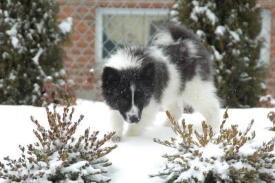 Feb9_05_231.JPG