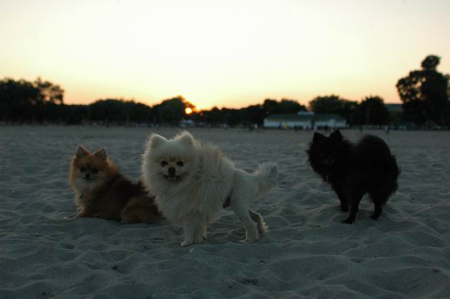 Sept2b_04_338.JPG