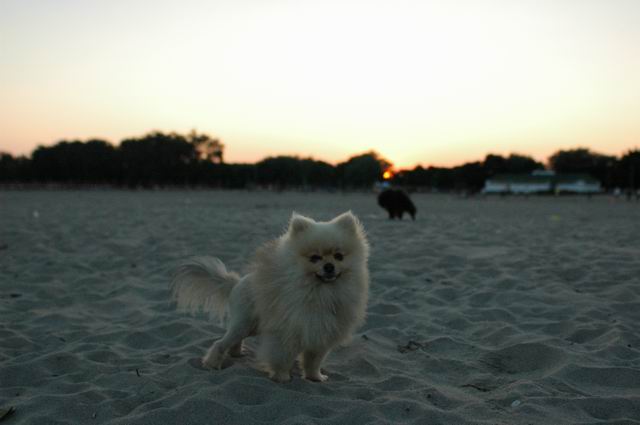 Sept2c_04_040.JPG