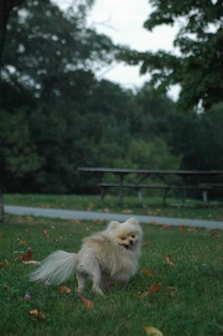 Sept3_04_560.JPG