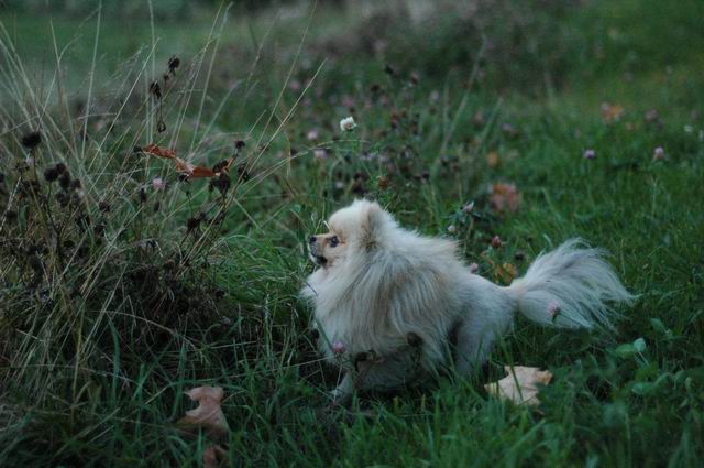Sept3a_04_091.JPG
