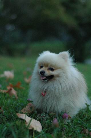 Sept3a_04_243.JPG