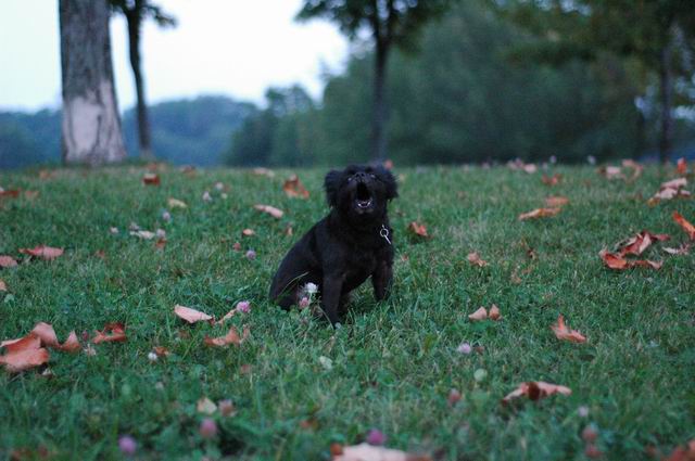 Sept3a_04_397.JPG