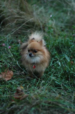 Sept3a_04_489.JPG