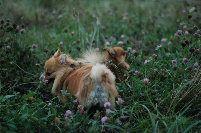 Sept3a_04_535.JPG