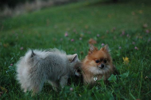 Sept3b_04_026.JPG